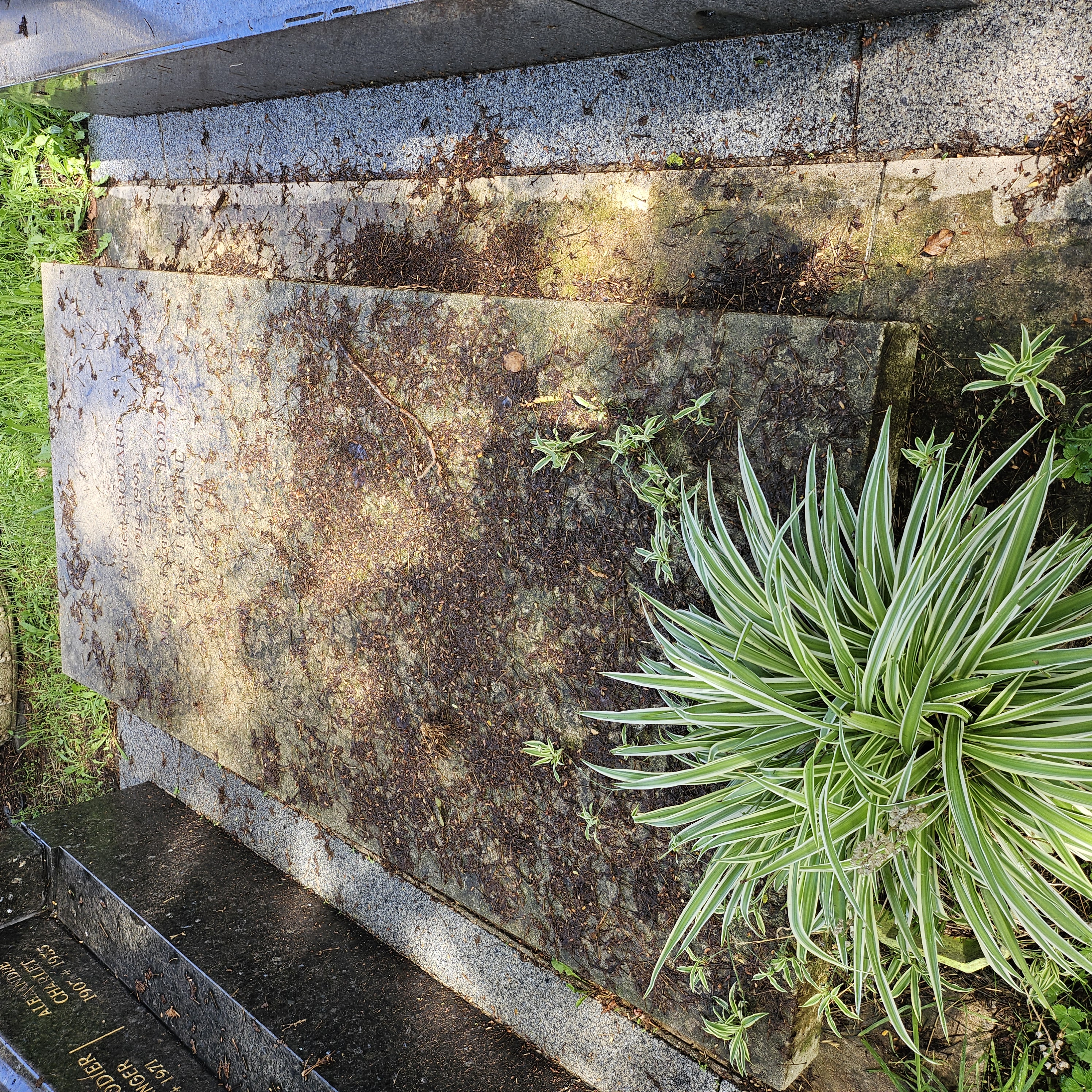 Tombe de Lucien Bodard au cimetière du Montparnasse