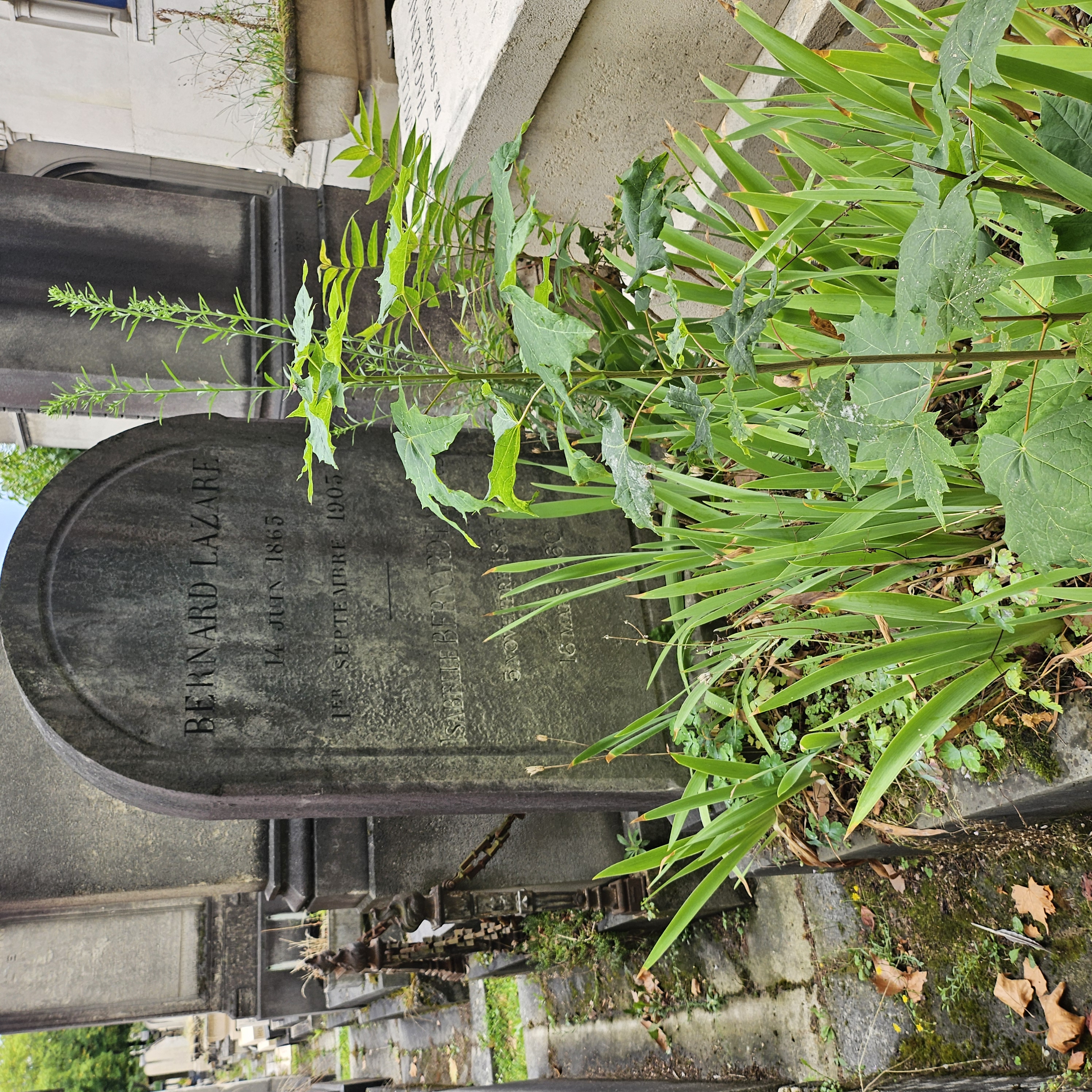 Tombe de Bernard Lazare au cimeti&egrave;re du Montparnasse