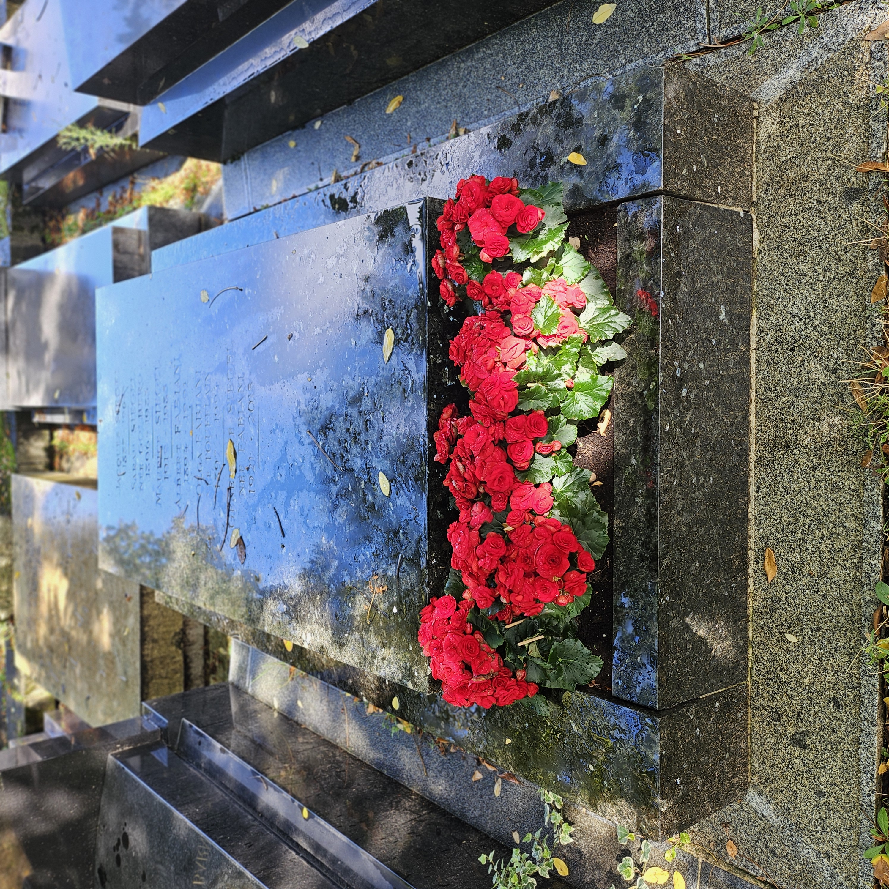 Tombe de Maurice Siegel
