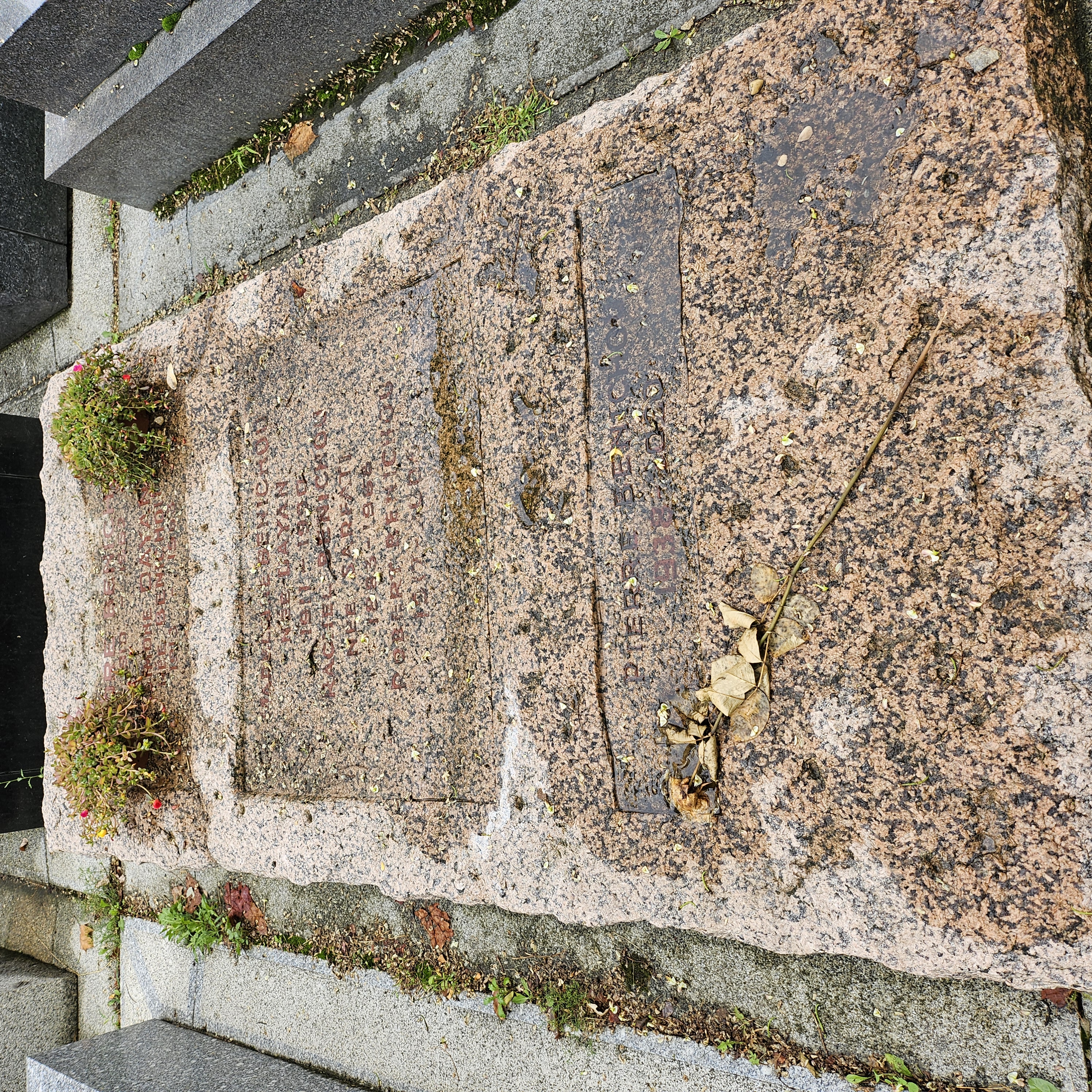 Tombe de Pierre Bénichou au cimetière du Montparnasse