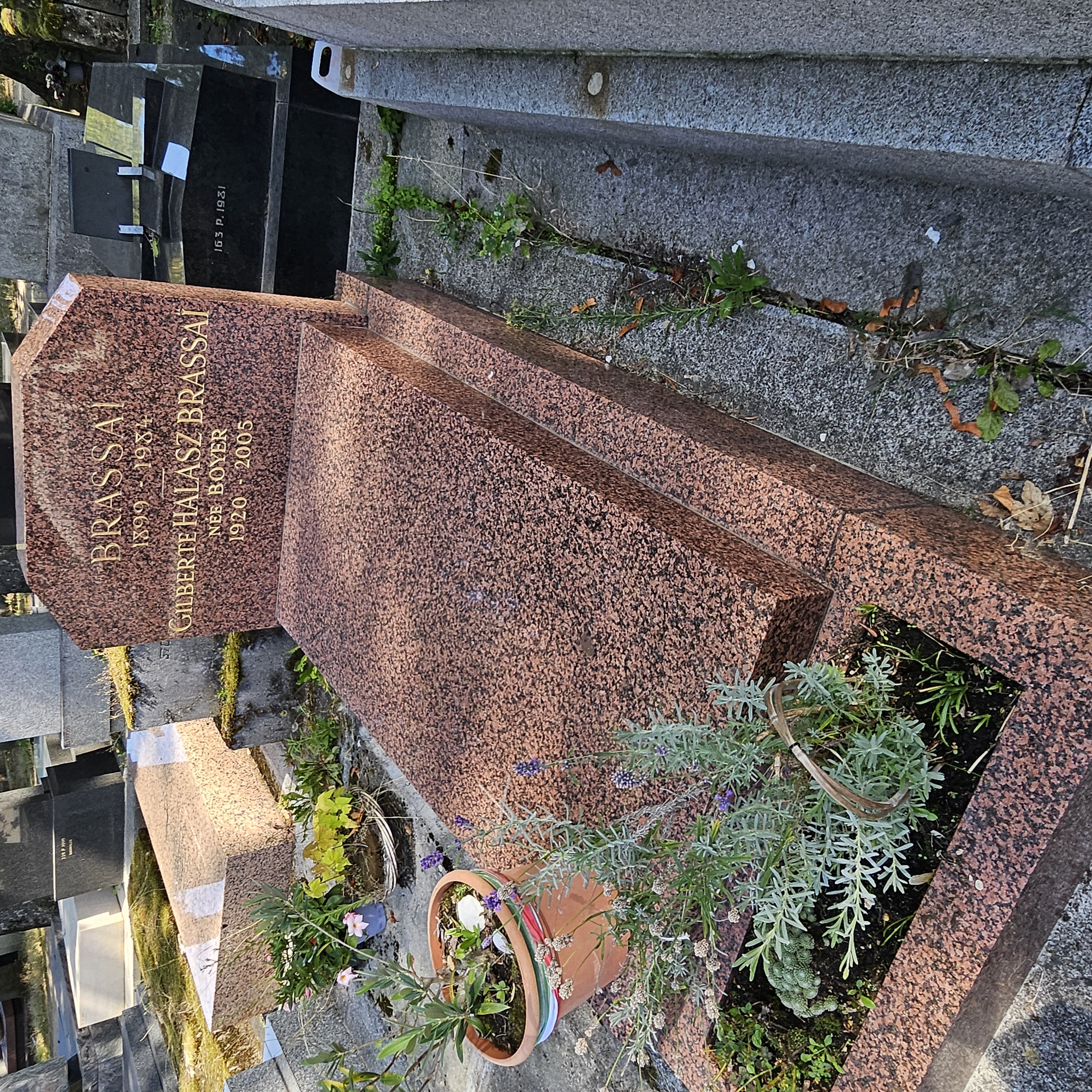Tombe de Gyula Brassa&iuml; au cimeti&egrave;re du Montparnasse