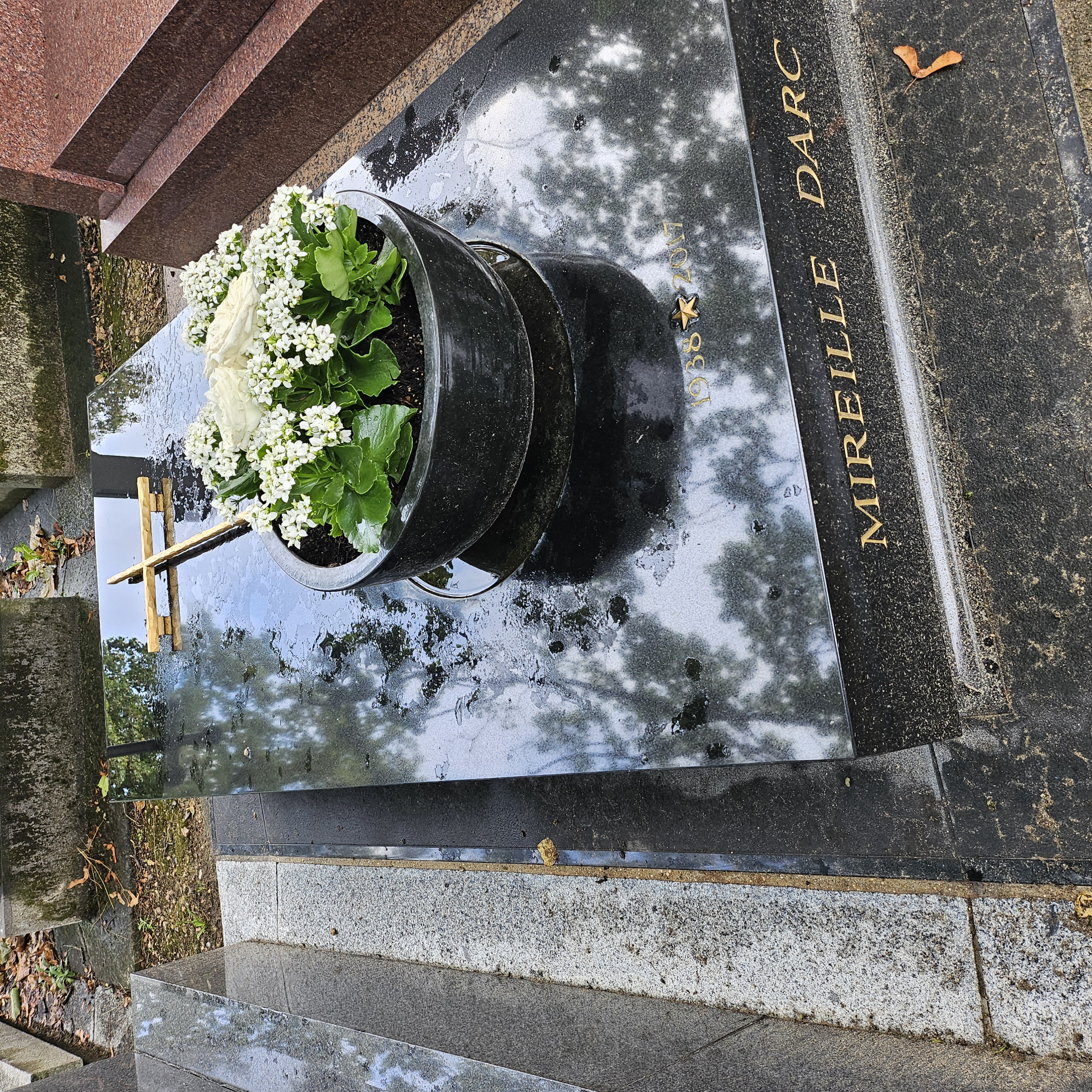 Tombe de Mireille Darc au cimetière du Montparnasse à Paris