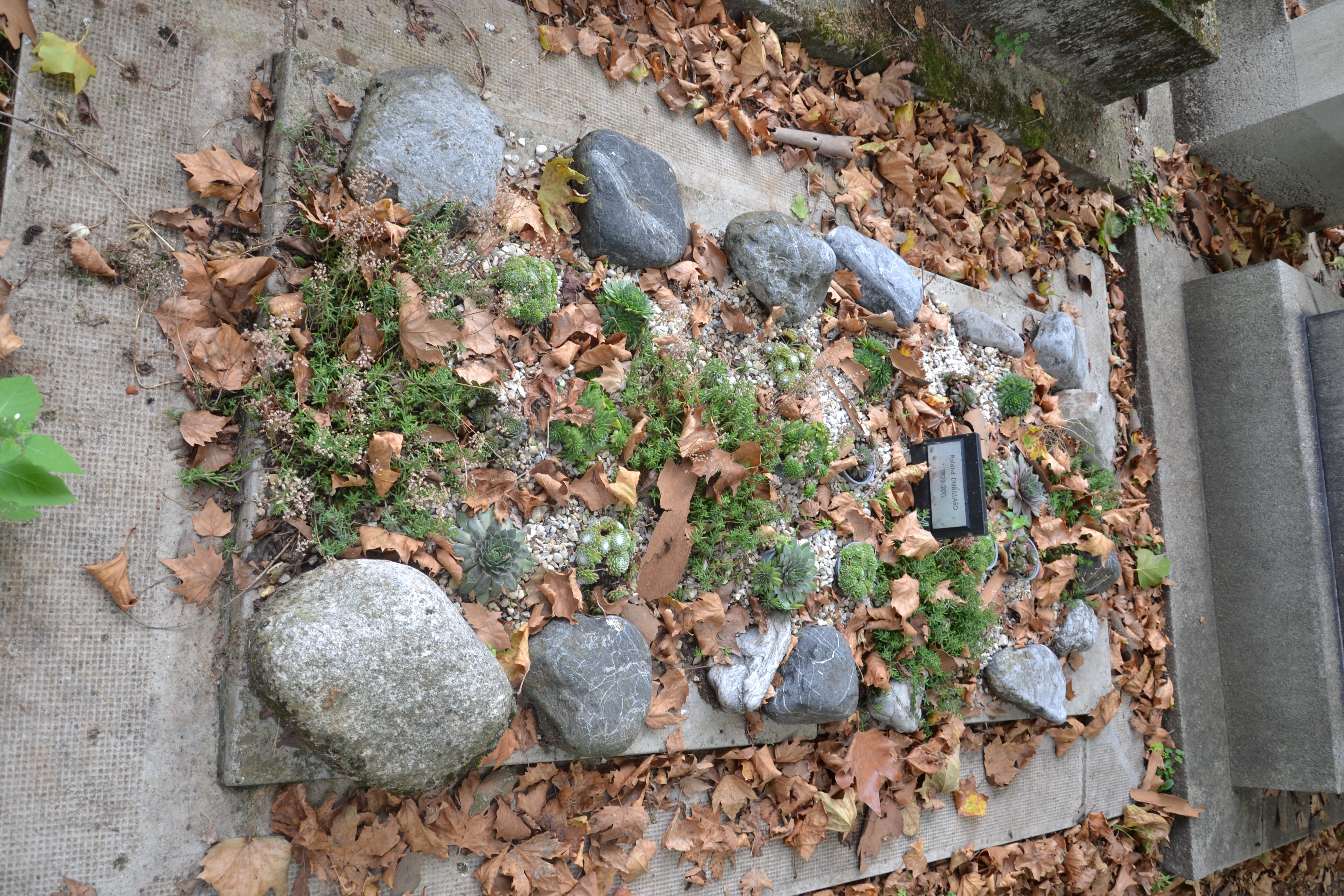 Tombe de Roland Dubillard au cimetière du Montparnasse à Paris