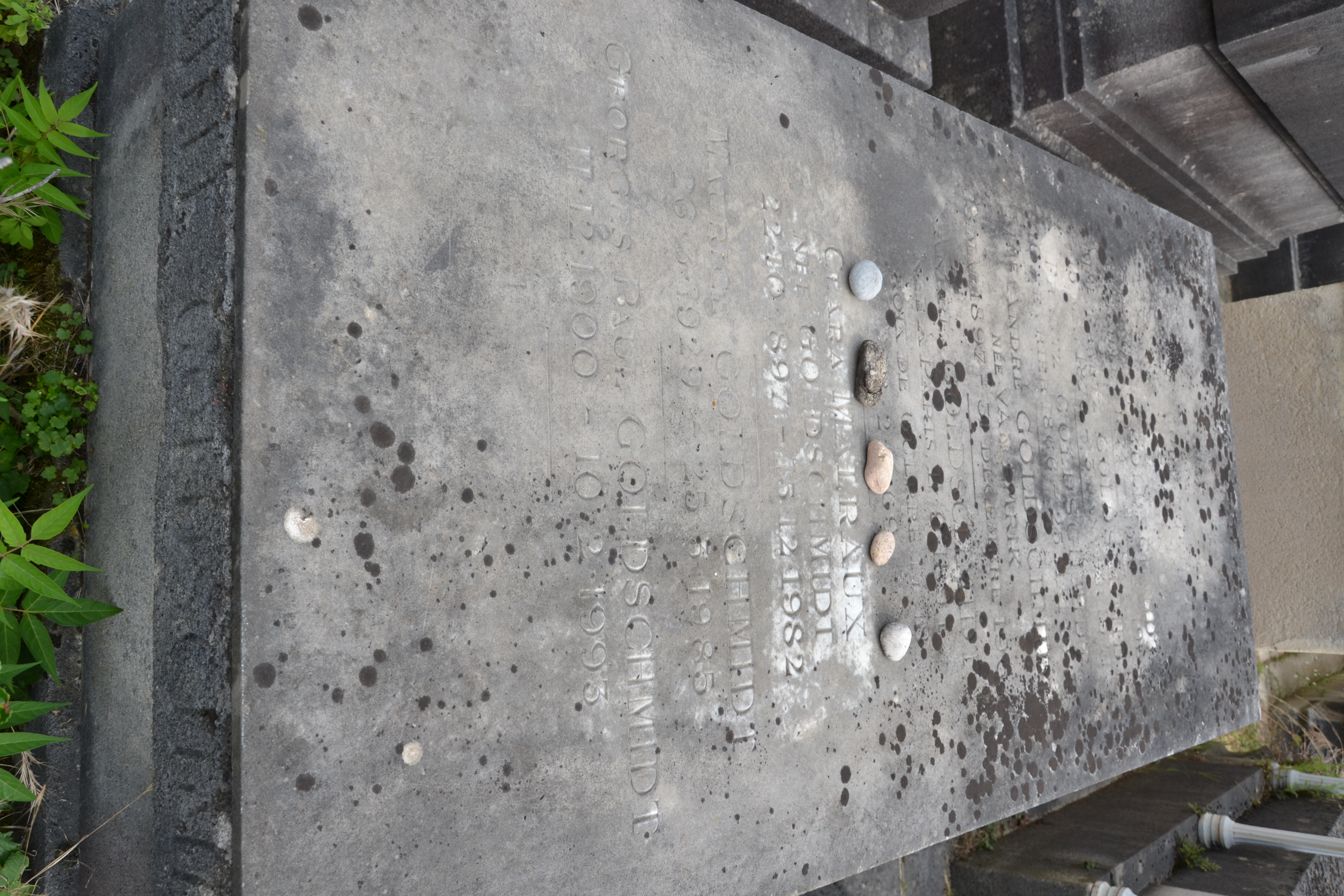 Tombe de Clara Goldschmidt Malraux au cimeti&egrave;re du Montparnasse