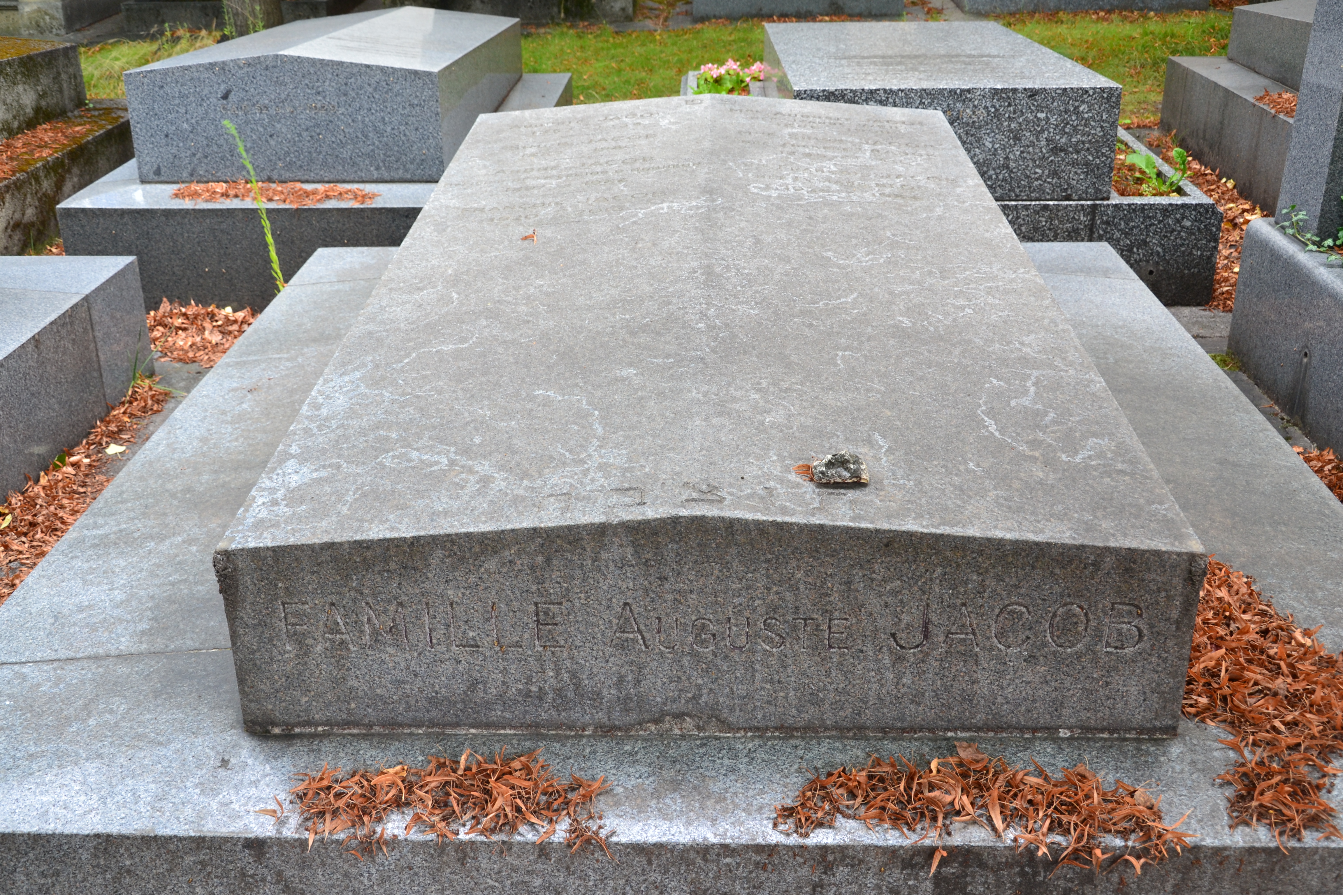Tombe de Fran&ccedil;ois Jacob au cimeti&egrave;re du Montparnasse