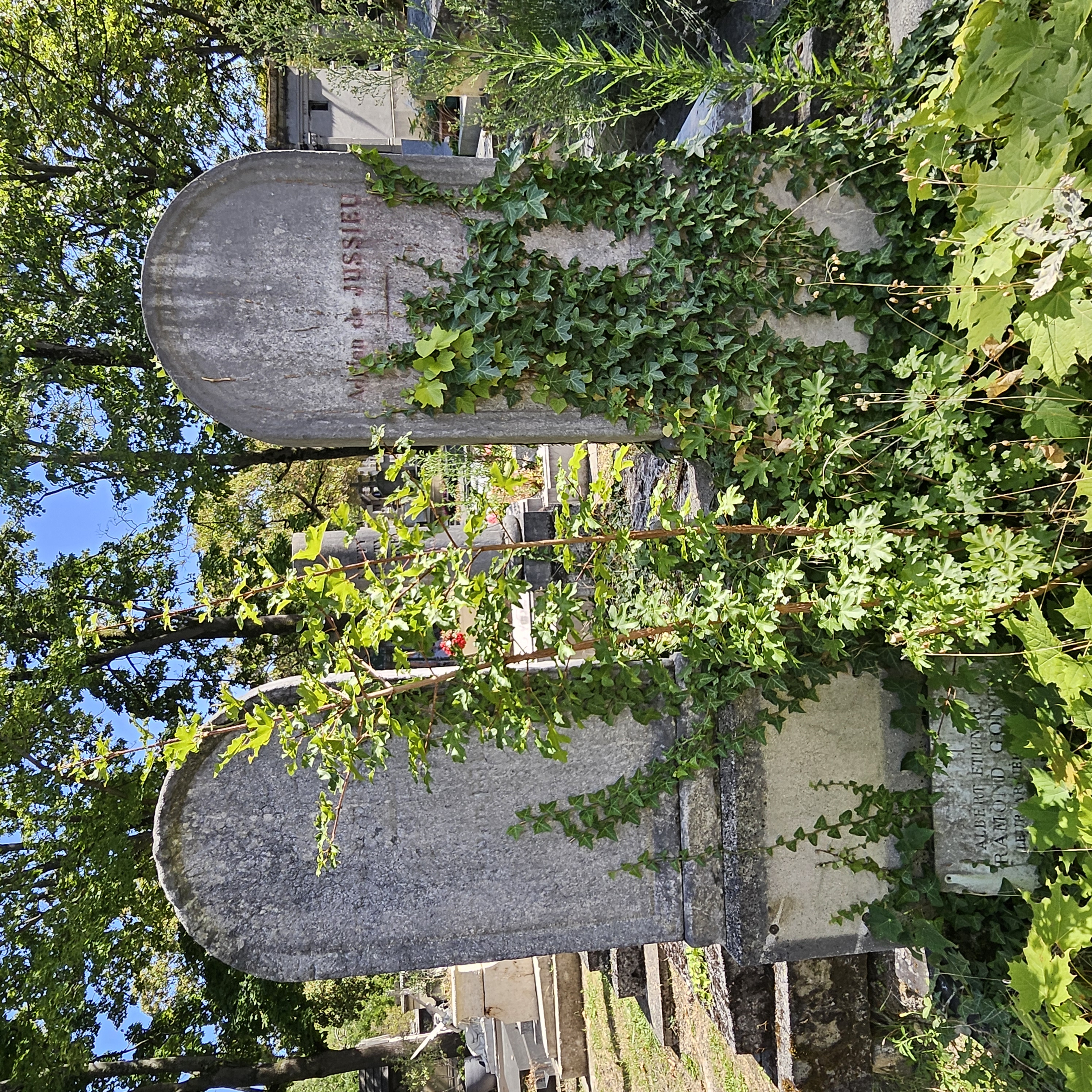 Tombe de Antoine-Laurent de Jussieu au cimeti&egrave;re du Montparnasse