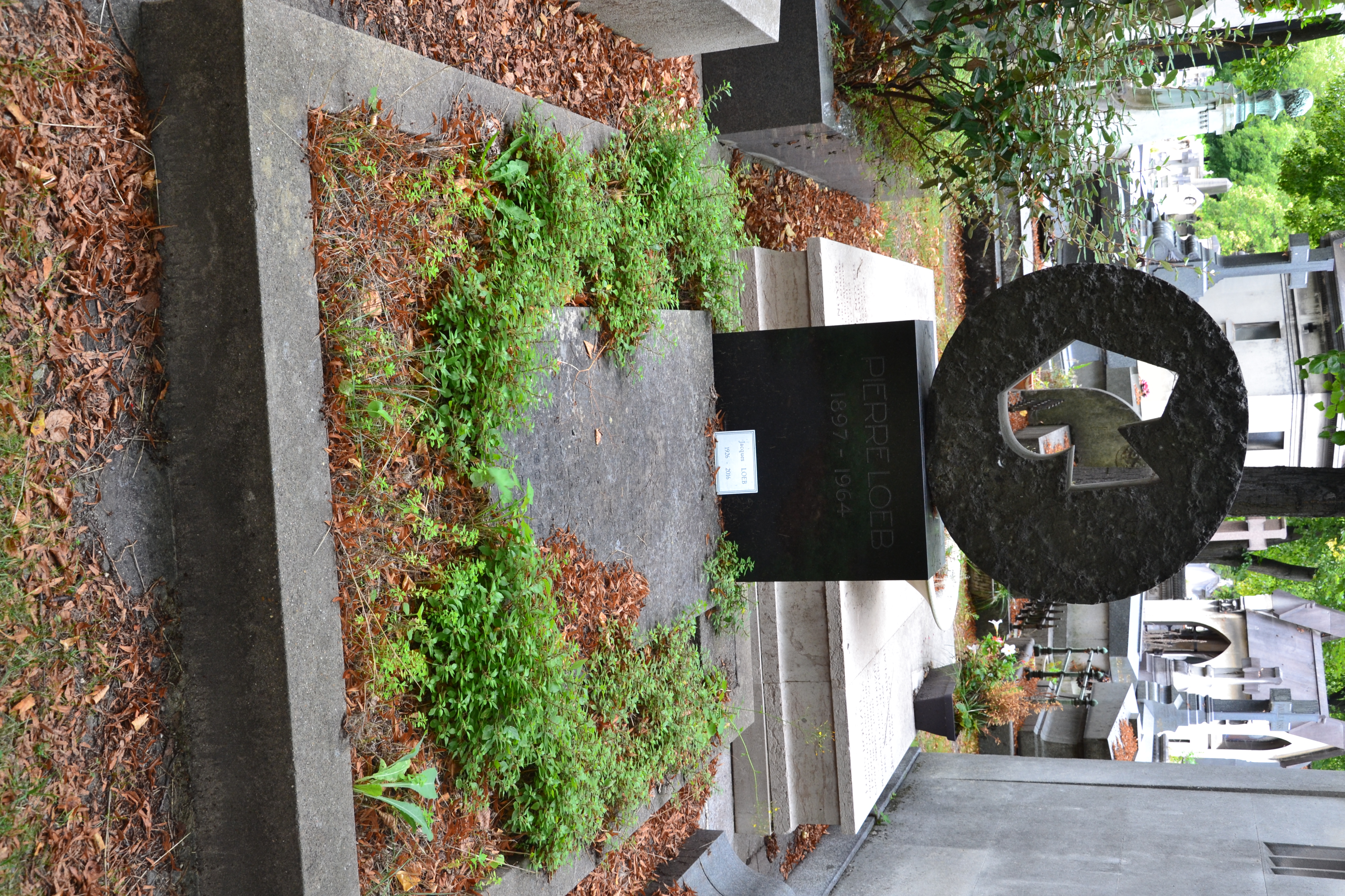 Tombe de Pierre Loeb au cimetière du Montparnasse à Paris