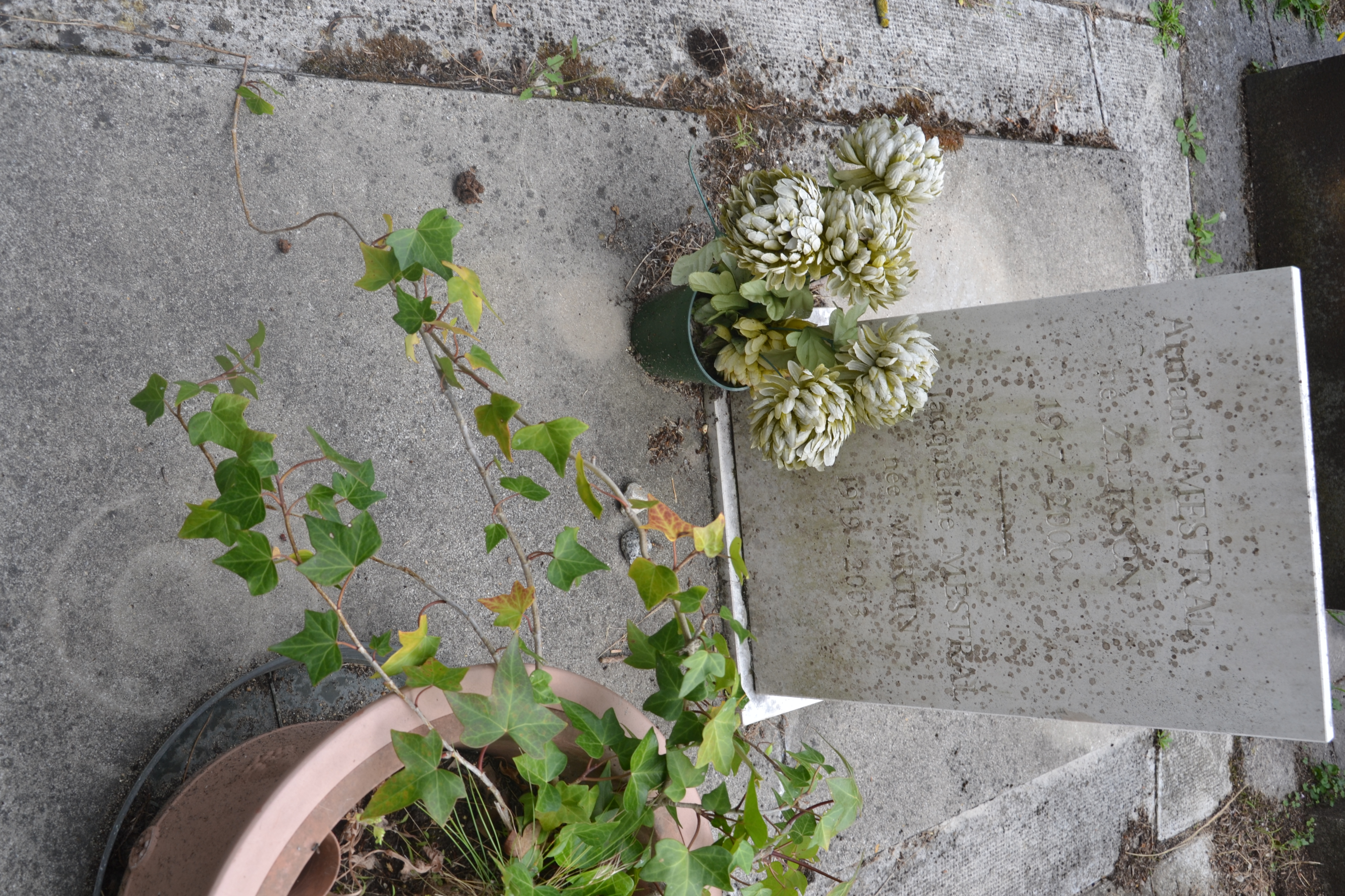 Tombe de Armand Mestral au cimeti&egrave;re du Montparnasse