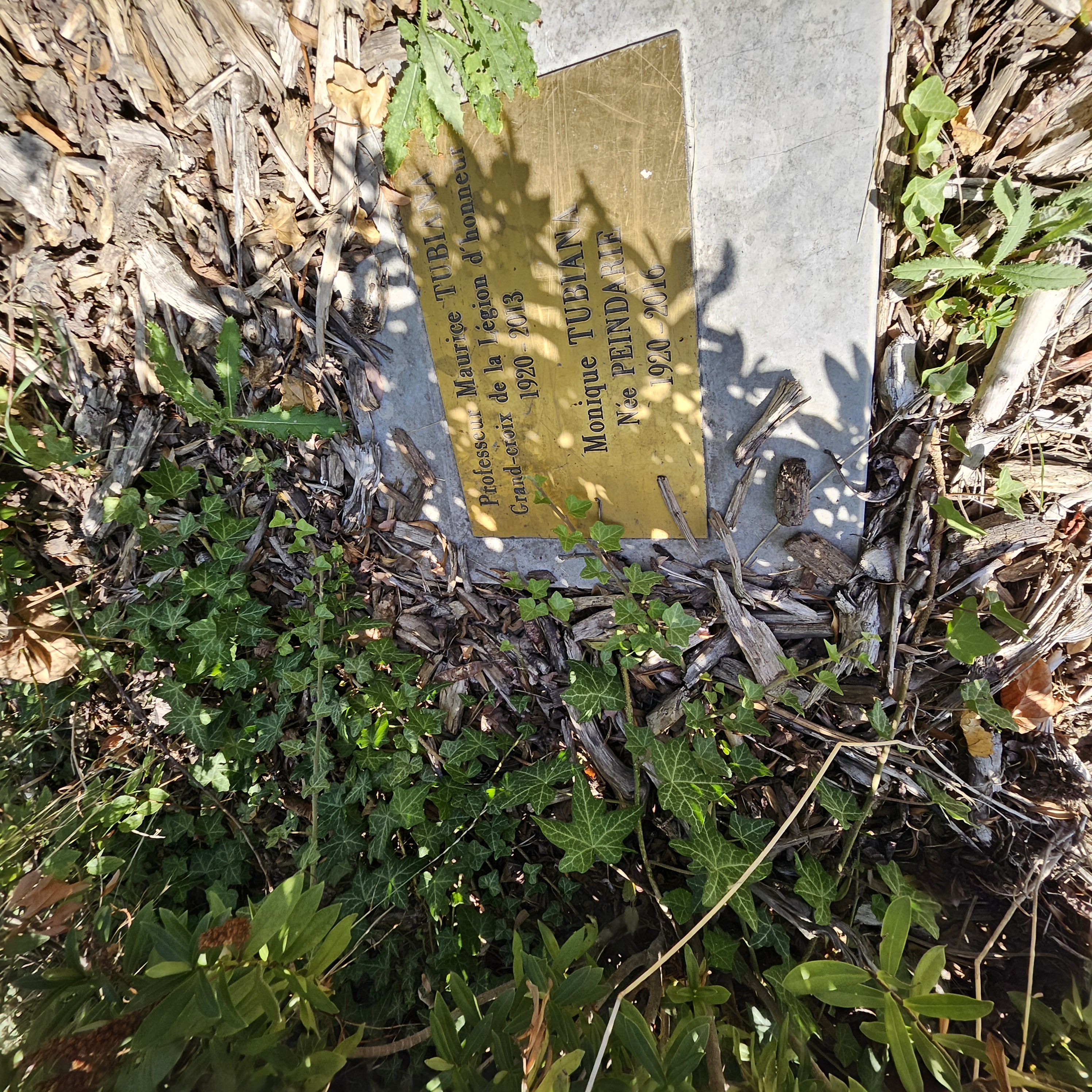 Tombe de Maurice Tubiana