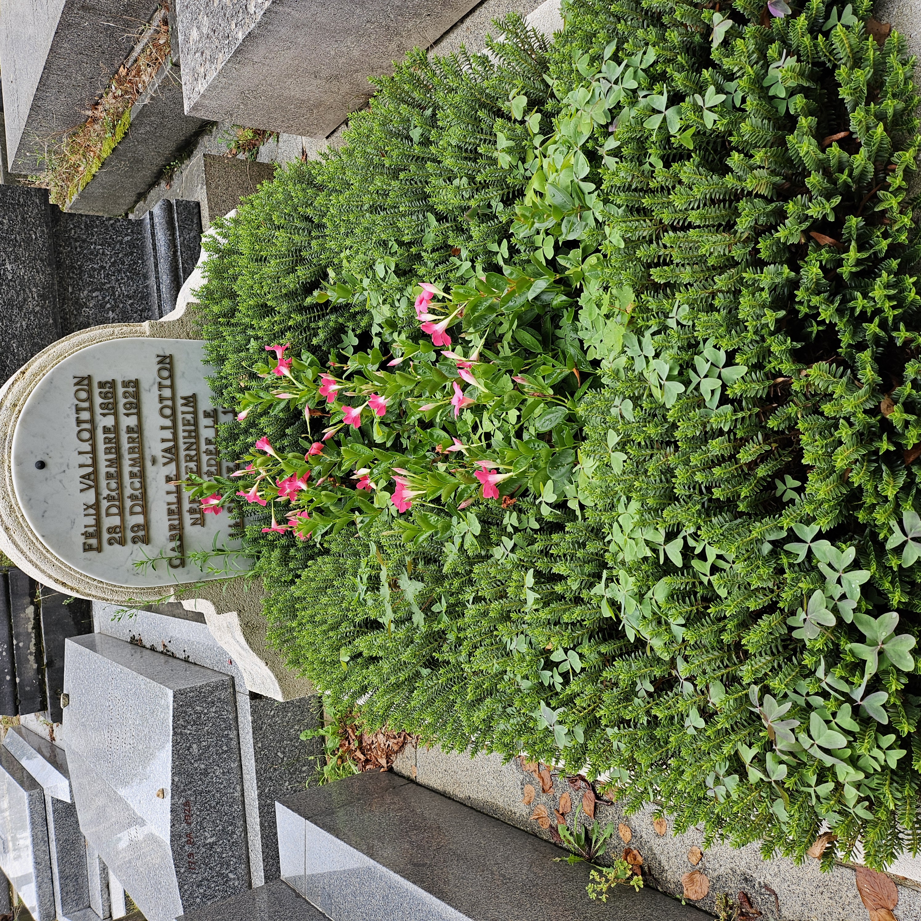 Tombe de F&eacute;lix Vallotton